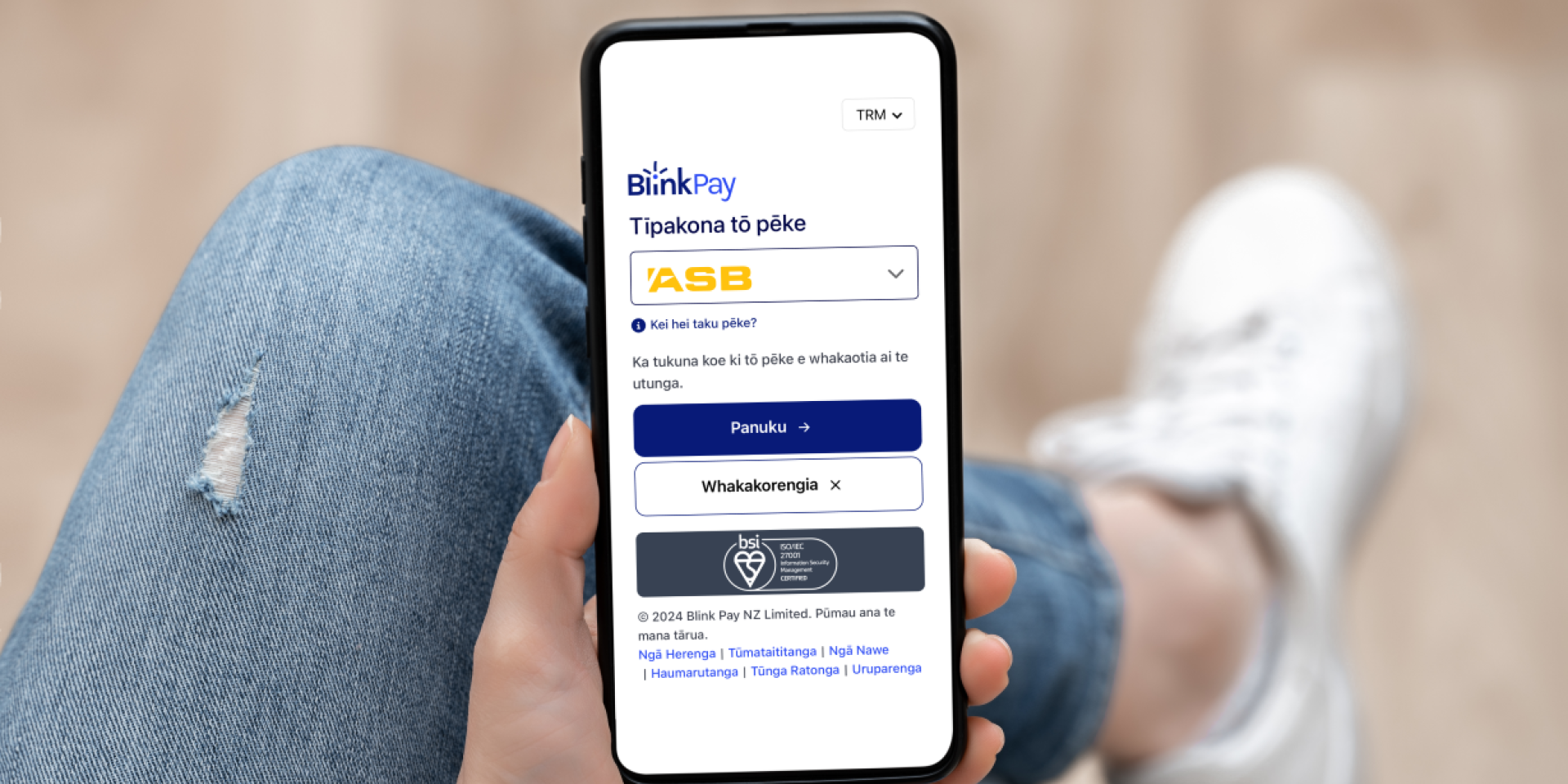 BlinkPay article