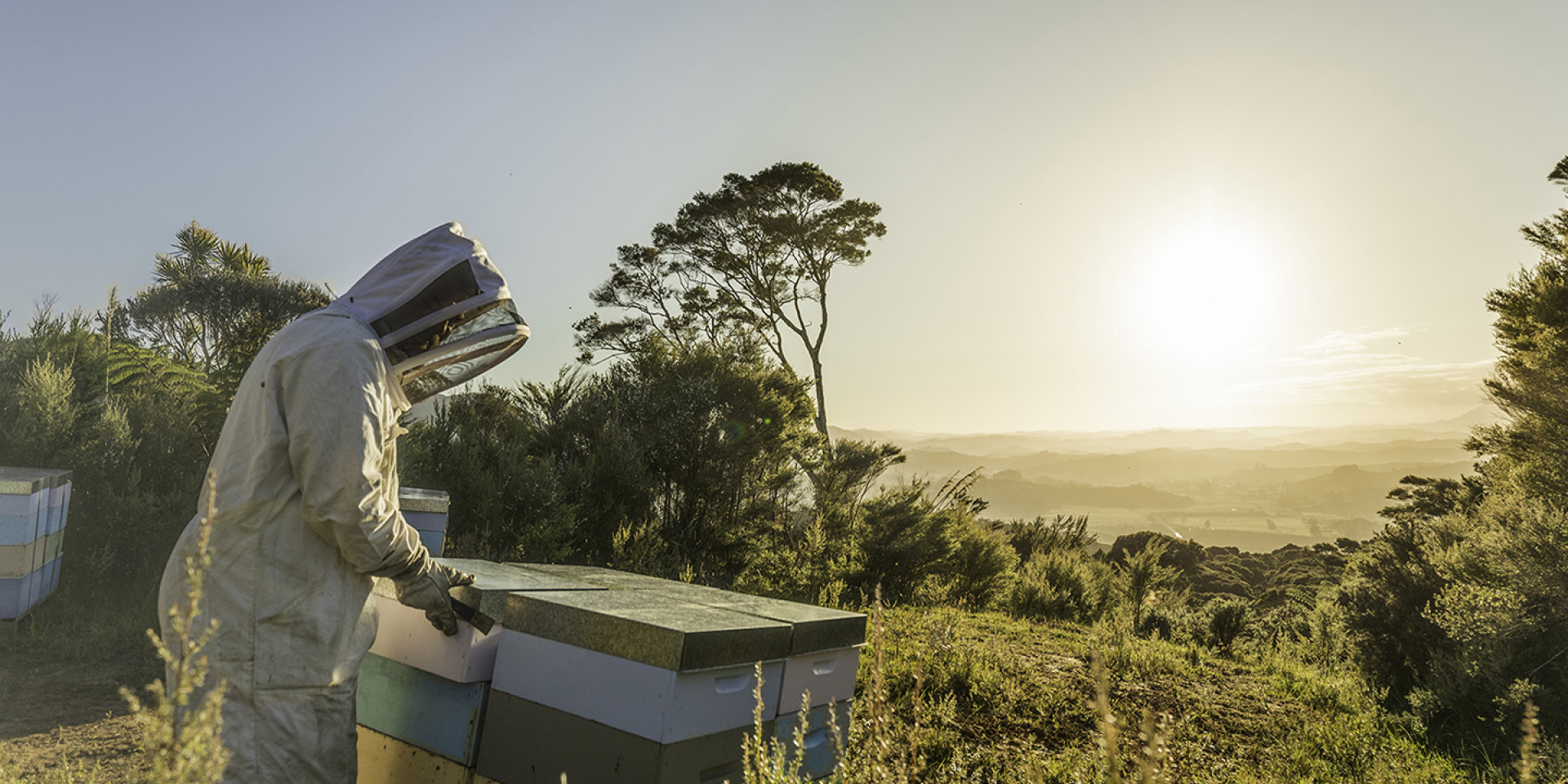 manuka health beekeeper img3