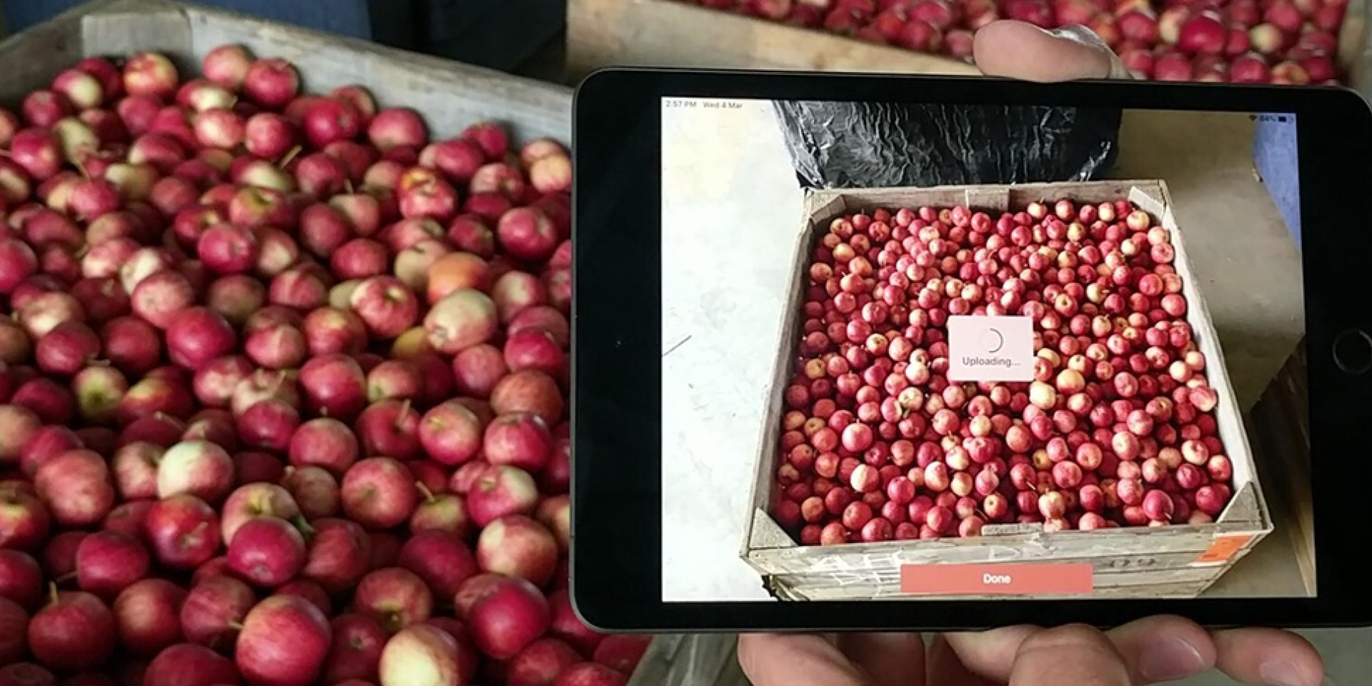 spectre apple bin customer story